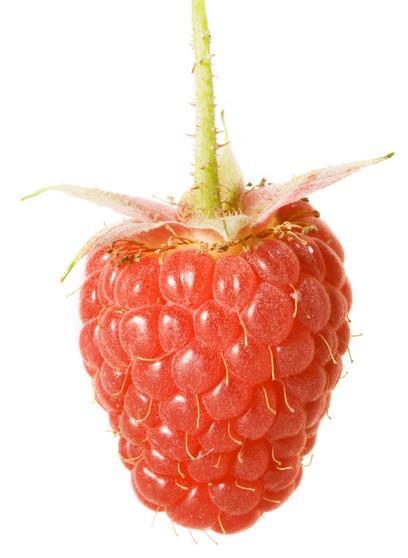 Tayberry