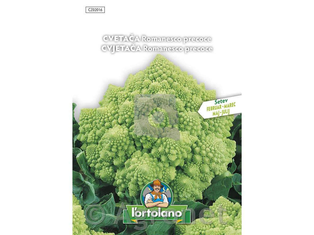 Cvetača Romanesco, 4 g