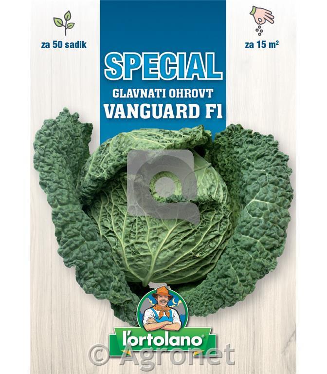 Glavnati ohrovt Vanguard F1