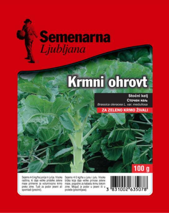Raštika ali krmni ohrovt