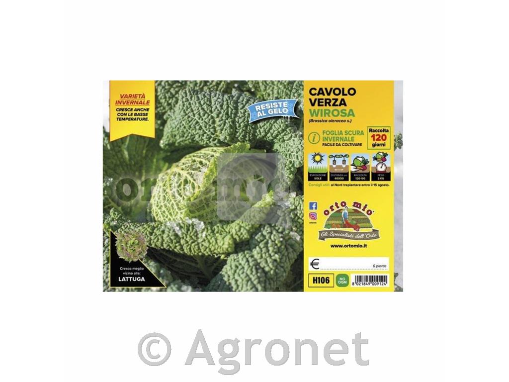 Ohrovt Deuce F1 in Wirosa F1, 6 kos