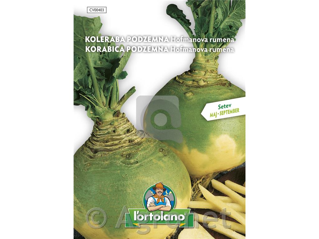 Koleraba podzemna Hofmanova 8g