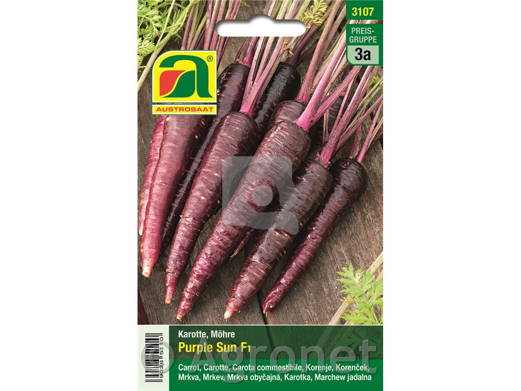 Korenček vijoličasti F1 5g
