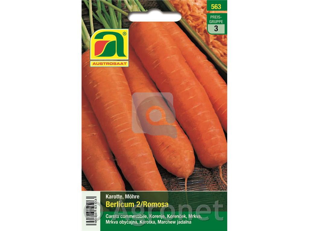 Korenček Berlicum 2/ Ramosa