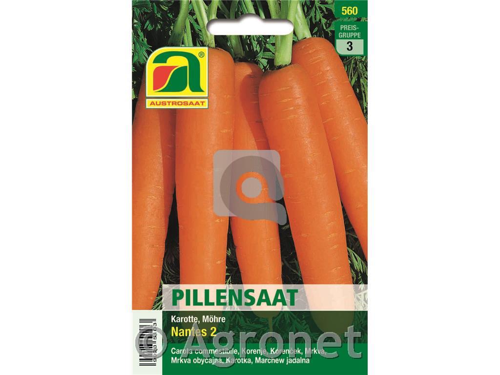 Korenček Nantes 2, pilirano seme