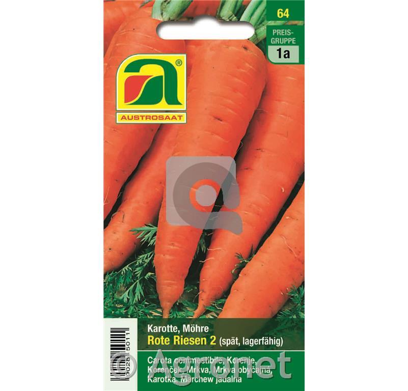 Korenje Rote Riesen 2, 5g