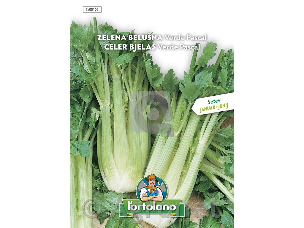 Zelena belušna Verde Pascal, 3 g