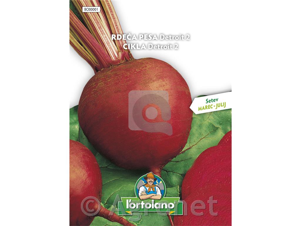 Rdeča pesa Detroit 2, 10g