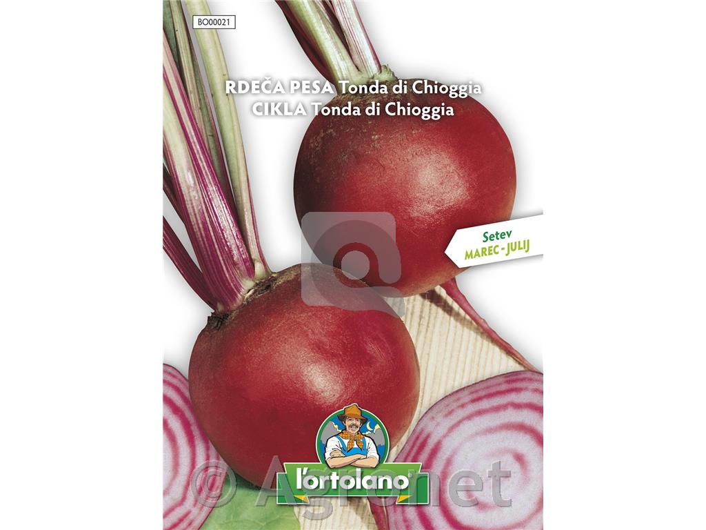 Rdeča pesa Tonda di Chioggia 10g