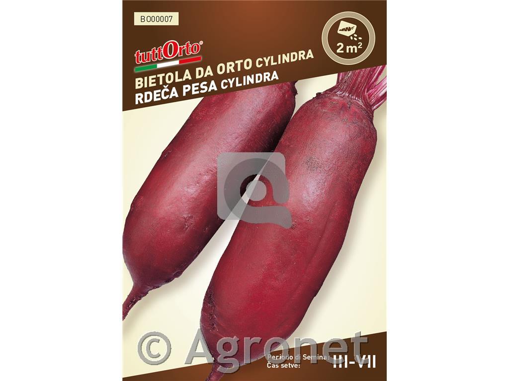 Rdeča pesa Cylindra, 4g