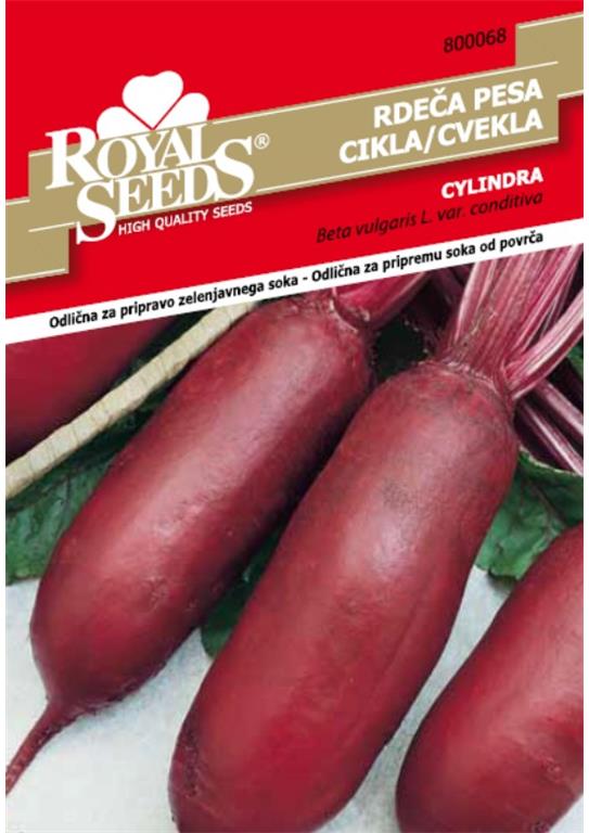 Rdeča pesa Cylindra 6g