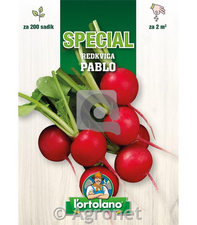 Redkvica Pablo, 200 semen
