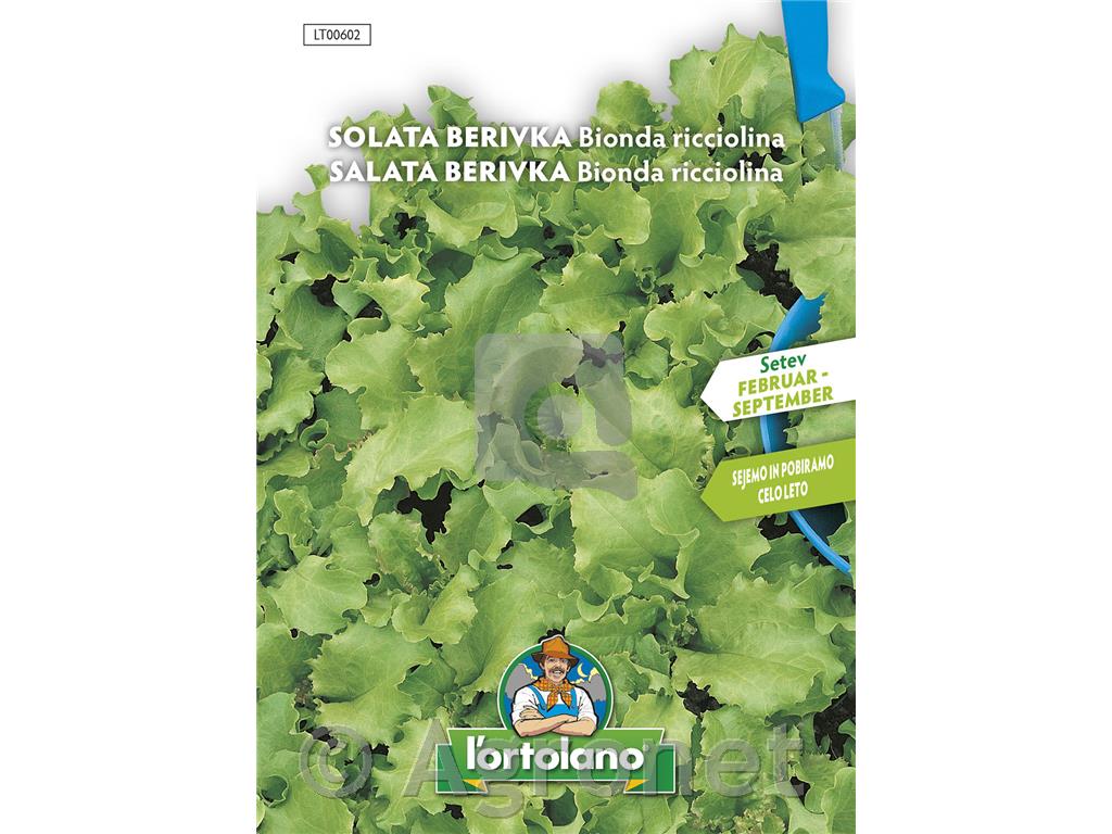 Solata berivka za rezanje, 8 g