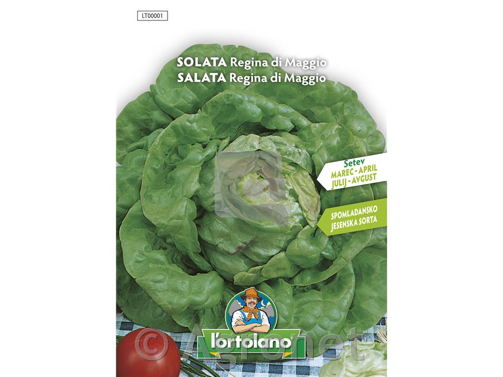 Solata Majska kraljica, 8 g