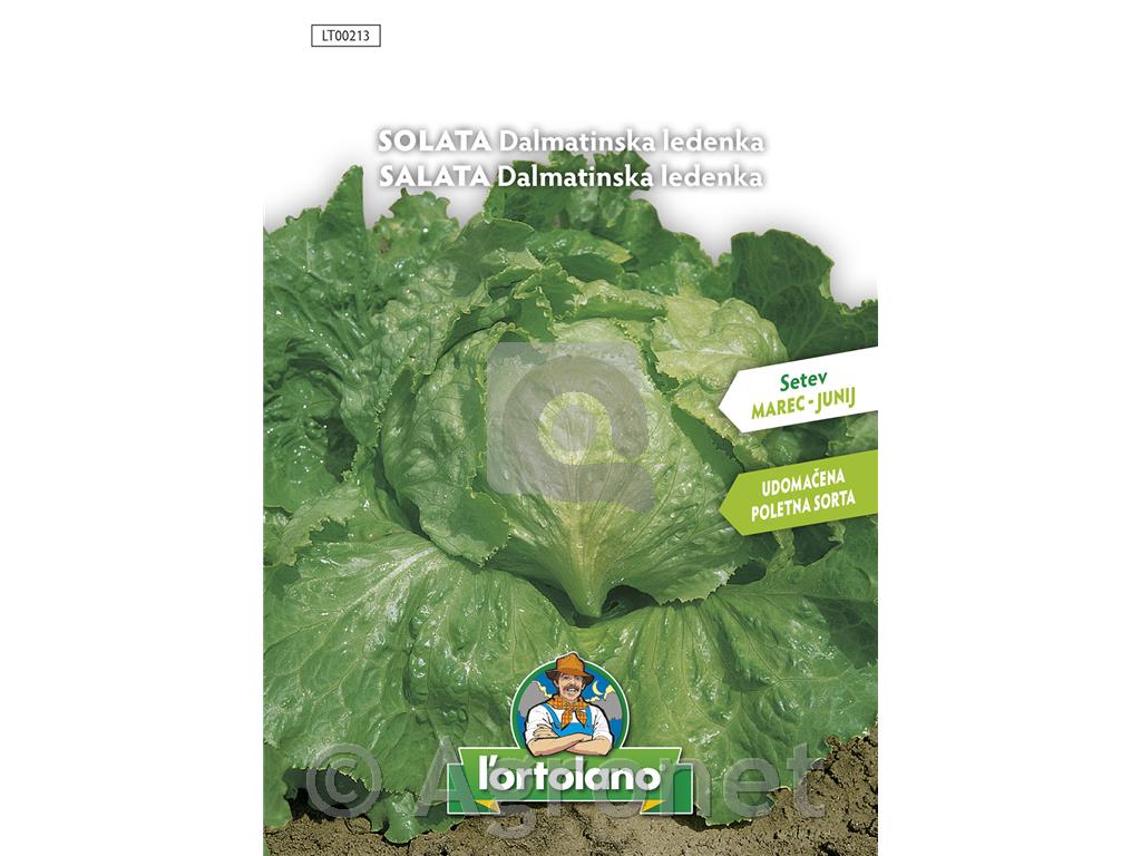 Solata Dalmatinska ledenka, 5 g