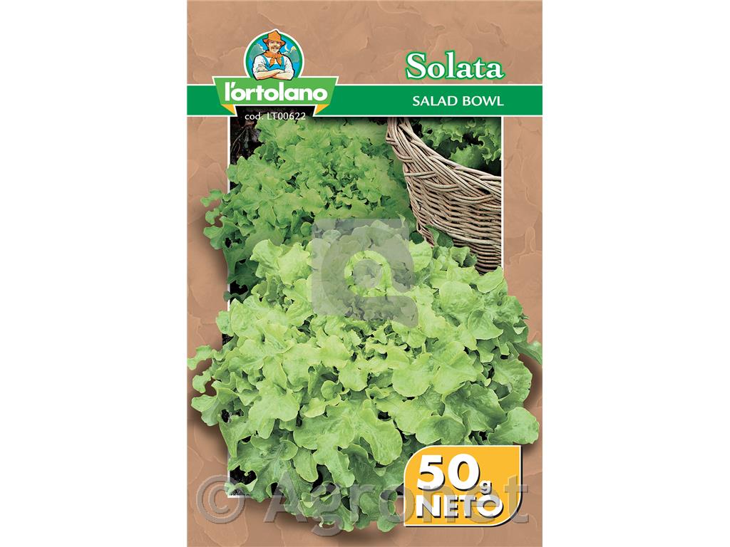 Solata Salad bowl, 50g