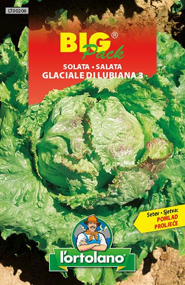 Solata Ljubljanska ledenka 15g