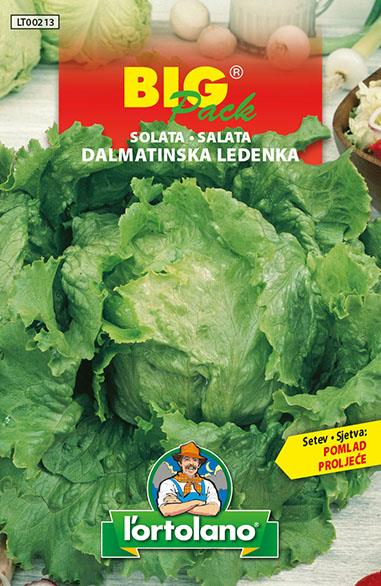 Solata Dalmatinska ledenka 15g
