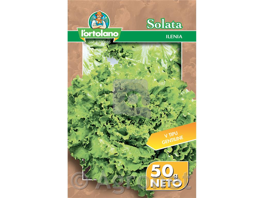Solata Ilenia 50g