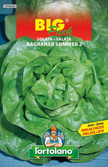 Solata Kagraner sommer 2 20g