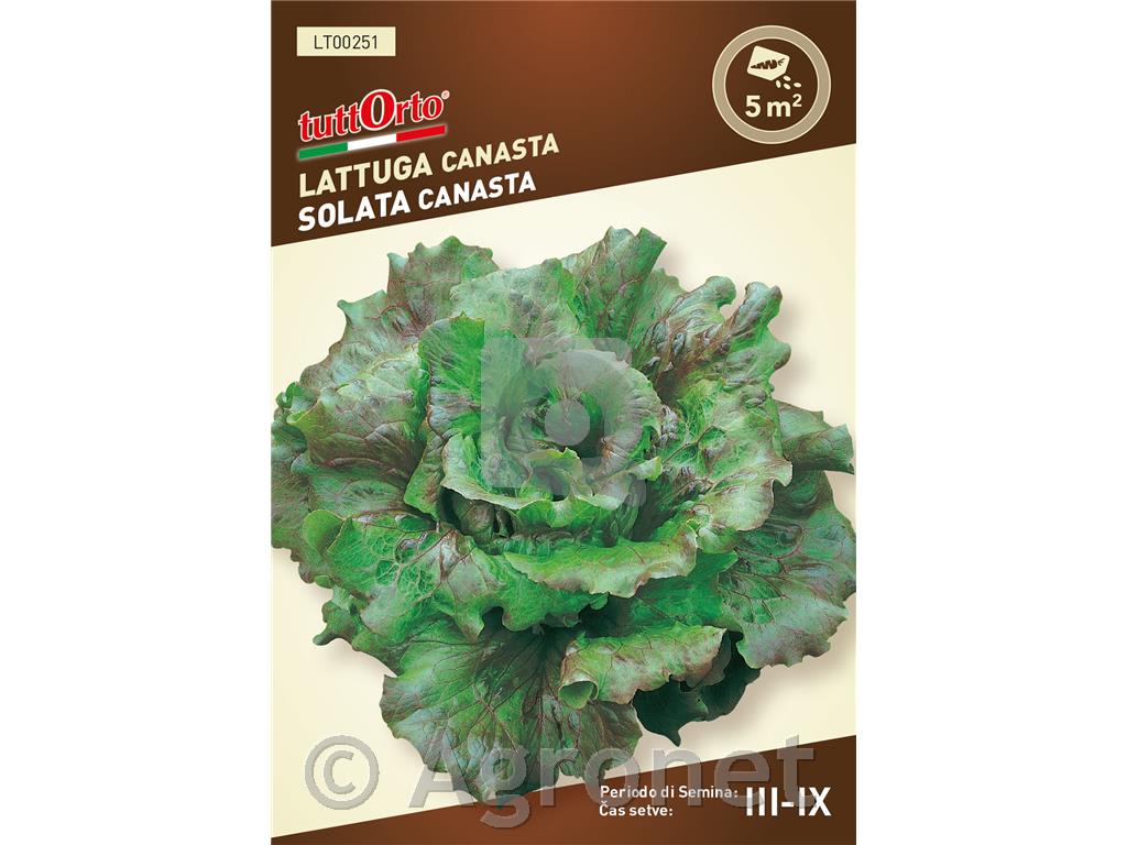 Solata Canasta, 4 g