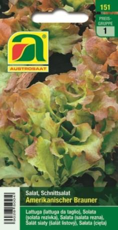 Solata ameriška rjava