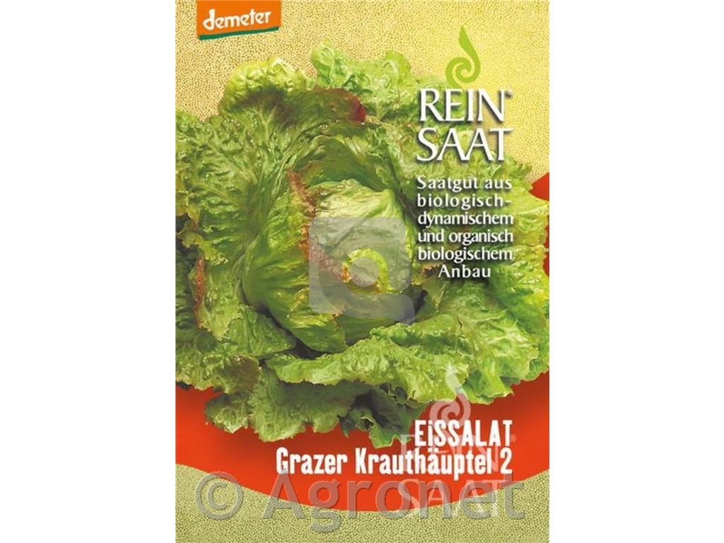 Solata Grazer Krauthäupel 2