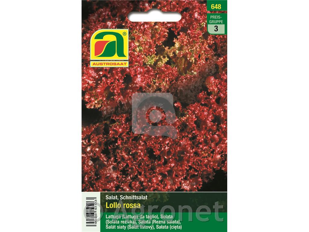 Solata rezivka Lollo Rosa 5g