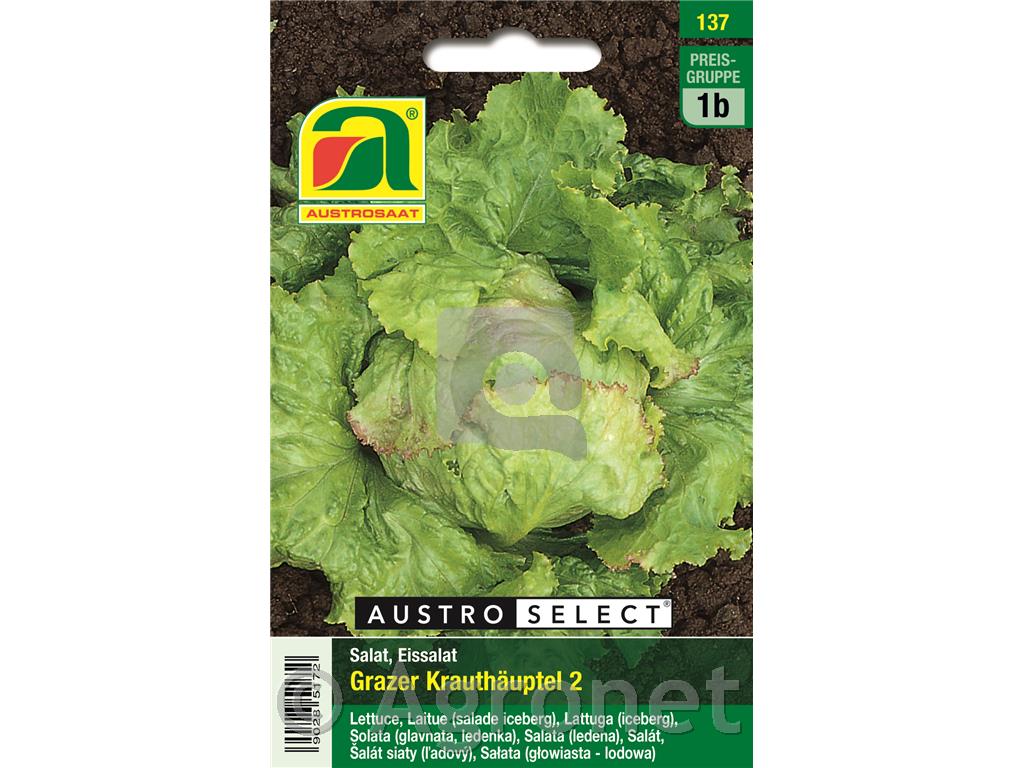 Solata Ledenka Grazer Krauthäuptel 2, 5g