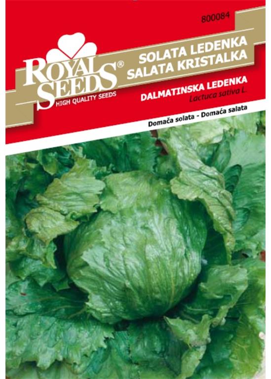 Solata Dalmatinska ledenka 7g