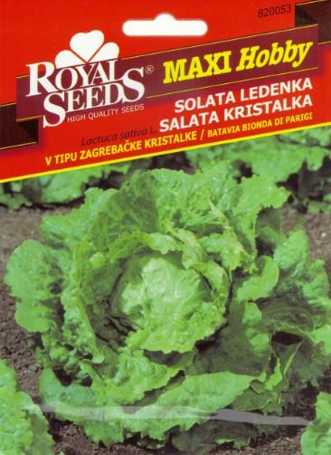 Solata Ledenka v tipu Zagrebačke kristalke 7g