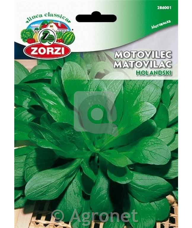 Motovilec Holandski 50 g