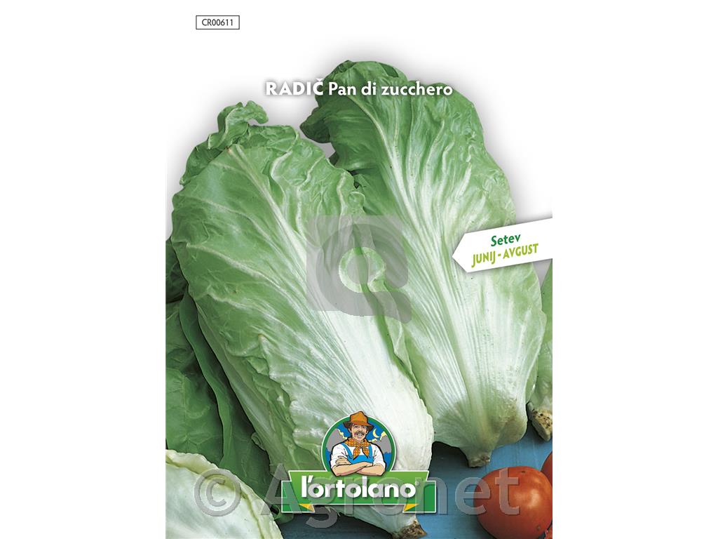 Radič Pan di zucchero, 10 g