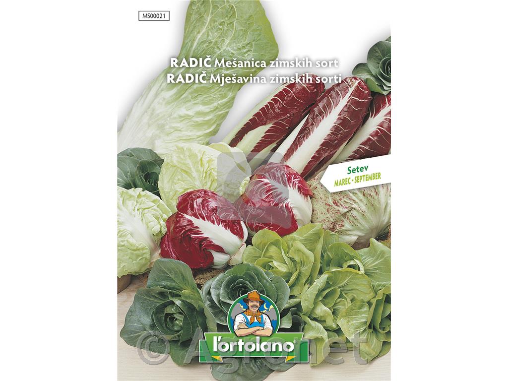 Radič mešanica, 10 g