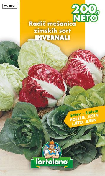 Radič mešanica zimskih sort, 200g