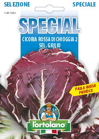 Radič Rossa di Chioggia 2 sel. Giulio 4g