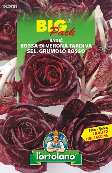 Radič Rossa di Verona 20g