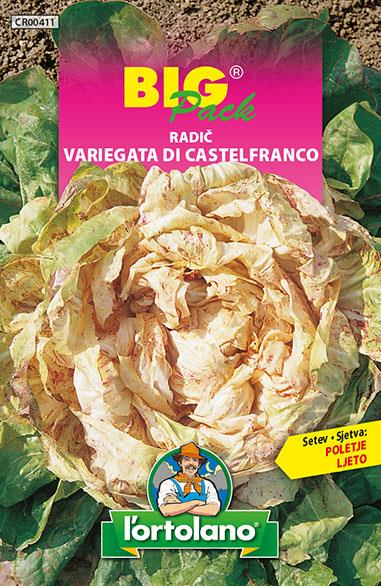 Radič Variegata di Castelfranco 20g