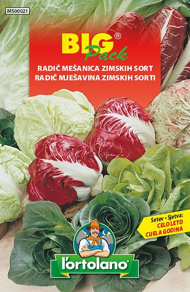 Radič mešanica zimskih sort 20g