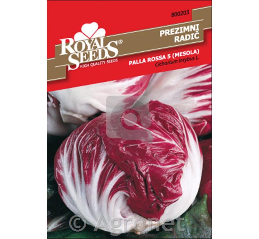 Radič prezimni Palla Rossa 5, 50g