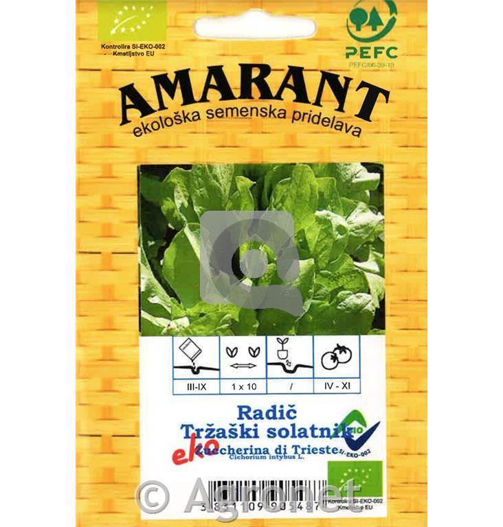 Radič Tržaski solatnik EKO