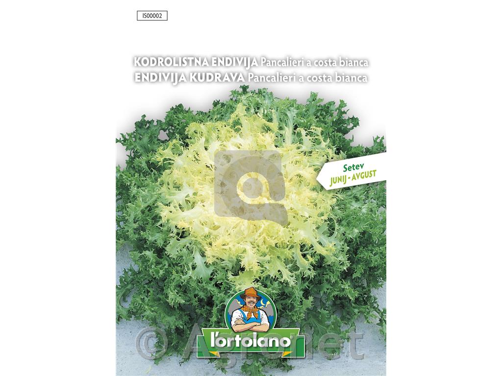 Endivija kodrolistna, 10 g