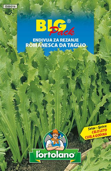 Endivija za rezanje Riccia ramanesca da taglia 20g