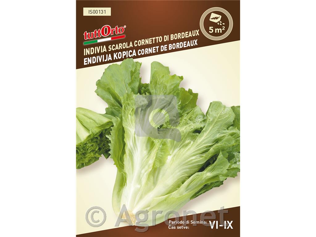 Endivija Kopica Cornet de Boreaux, 2g