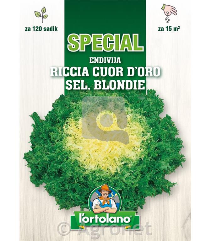 Endivija Cuor d’Oro