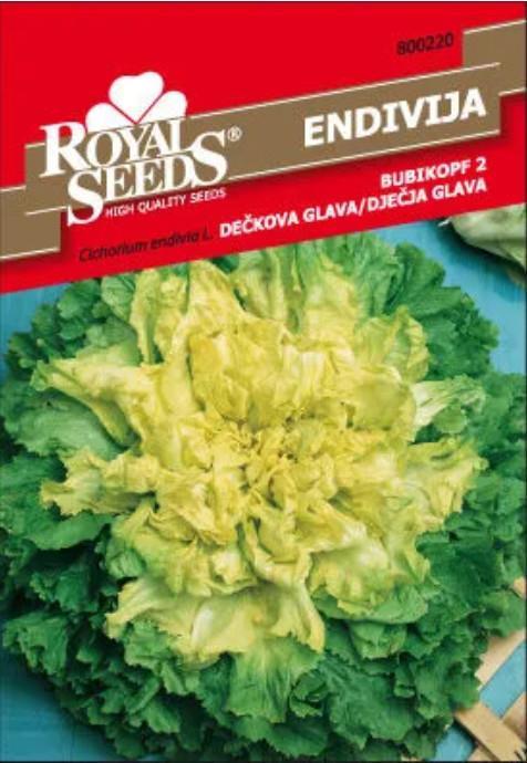 Endivija Dečkova glava 5g