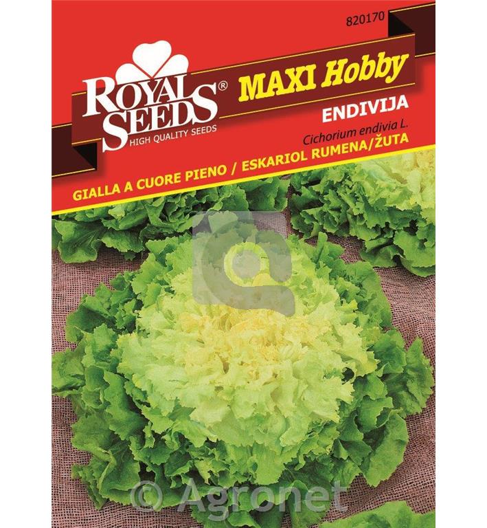 Endivja Eskariol rumena 10g