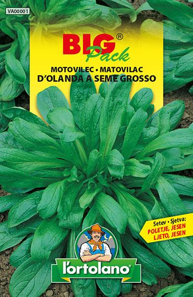 Holandski motovilec 15g