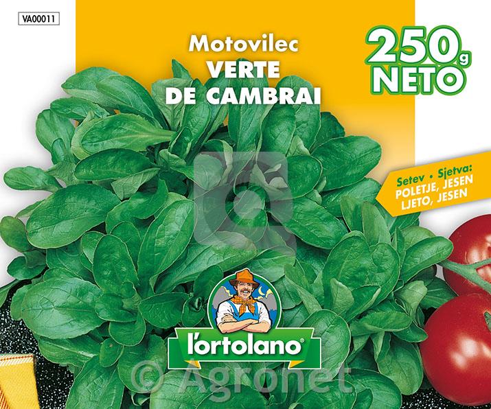 Motovilec Verte de Cambrai 250g