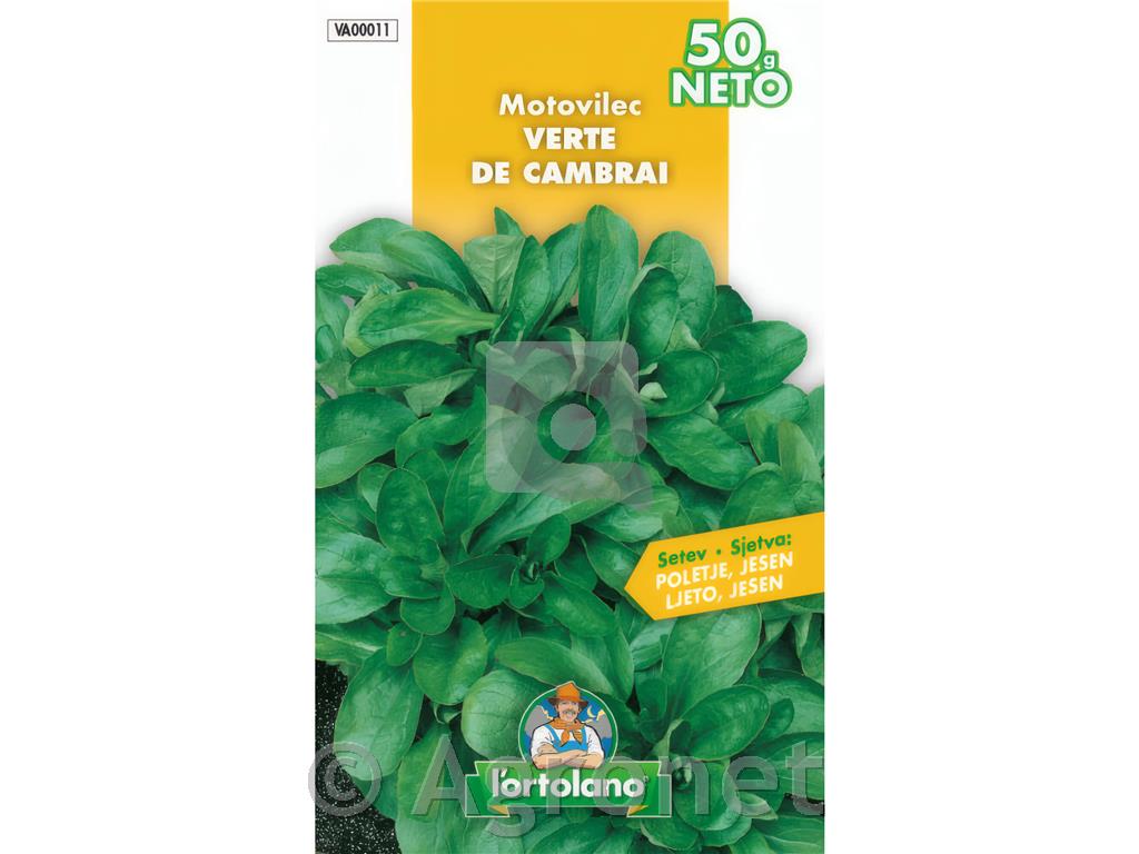 Motovilec Verte de Cambrai 50g
